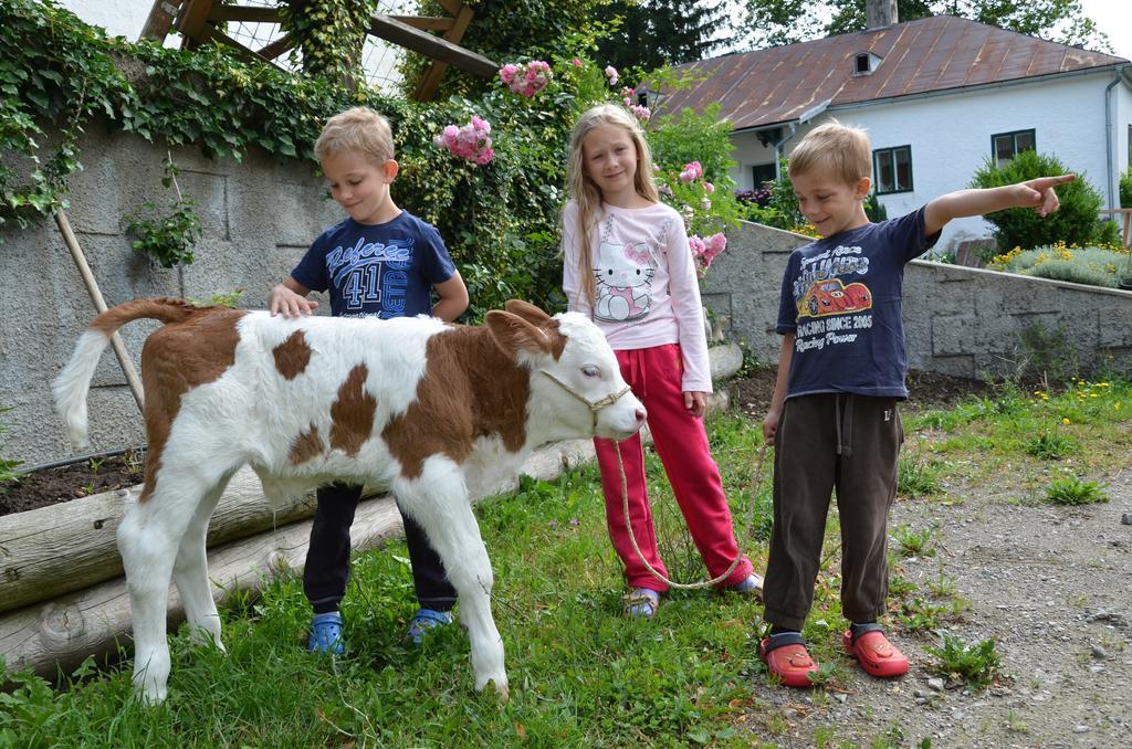 Ferienwohnung Vonwald Michelbach Exterior foto